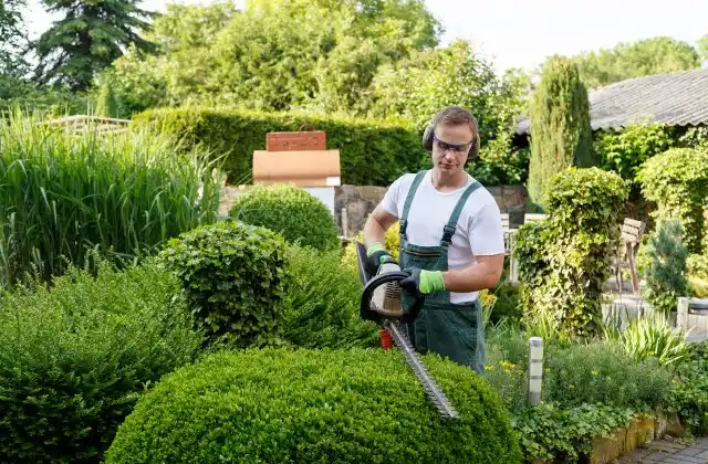 landscaping services Poplar Grove